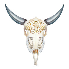 Watercolor bull skull with ornament. Boho chic style decor illustration. Hand drawn isolated object on white background.