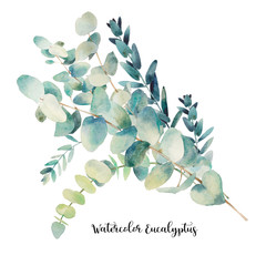 Watercolor eucalyptus bouquet. Hand painted floral illustration with object isolated on white background. © ldinka
