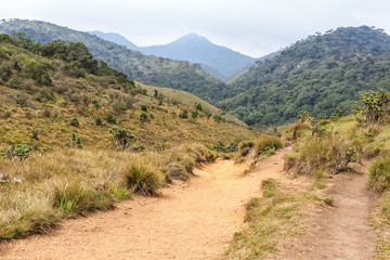 Beautiful view of Horton Plains