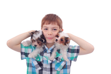 Boy and puppies