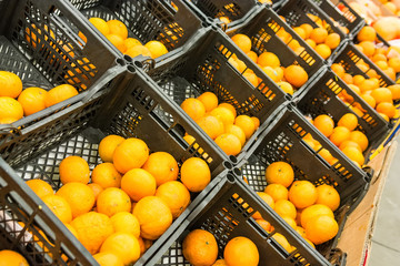 Fresh oranges in grocery store