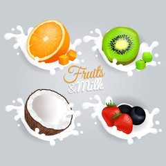 Fruit and Milk Set Concept on Grey Background