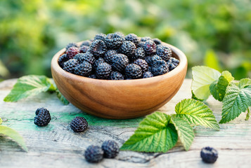 Black raspberries closeup