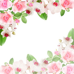 Beautiful floral pattern of pink roses and white orchids 
