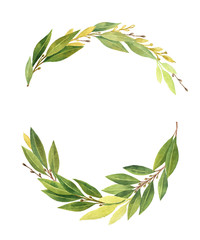 Watercolor Bay leaf wreath isolated on white background.
