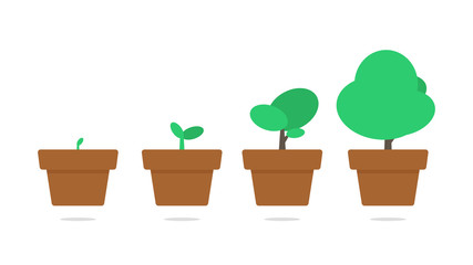 Plant growth vector
