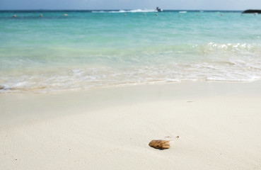 Fototapeta na wymiar Small stone on the beach of the Caribbean sea.