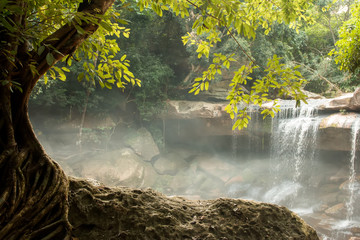 Fototapety  Tło fotografii lasu. Piękny wodospad strumień krajobraz.
