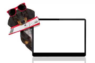 Crédence de cuisine en verre imprimé Chien fou dachshund sausage dog on vacation