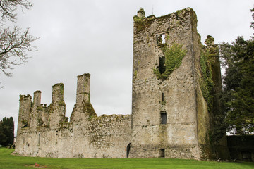 Ruin of Castlemartyr Castle Cork Ireland