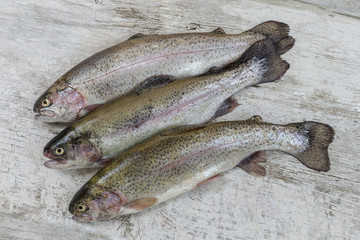 Trout freshly caught in a white colander with one outside
