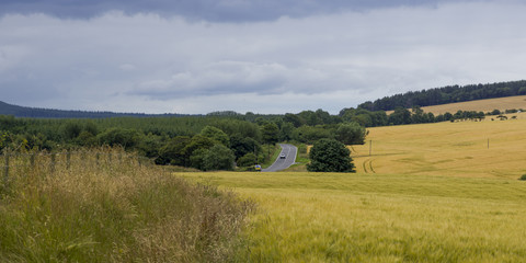Fototapeta premium Scotland