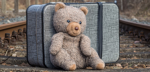 Bär auf den Schienen Panorama