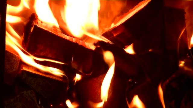Firewood burns brightly. Beautiful bonfire in the dark