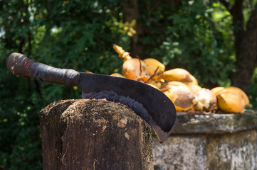 Couper les noix de coco