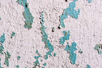 Pink gerbera daisy on wooden background, mothers day card