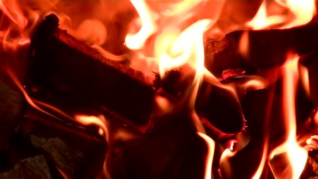Firewood burns brightly. Beautiful bonfire in the dark