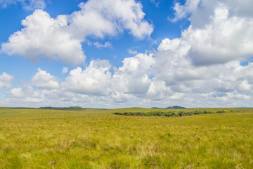 Obraz premium Field at Fortaleza Canyon