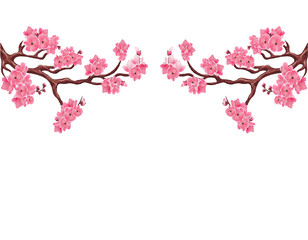 Two symmetrical branches with pink cherry blossoms. Sakura. Isolated on white background. illustration