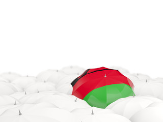 Umbrella with flag of malawi