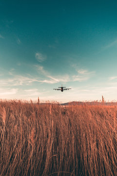 Aereo sopra un campo di spighe