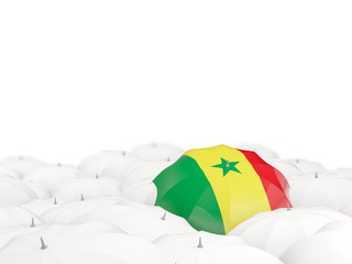 Umbrella with flag of senegal