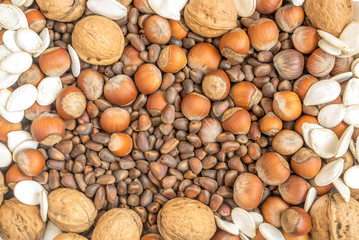 Collection of Walnuts, Hazelnuts, Pine Nuts and Pumpkin seeds