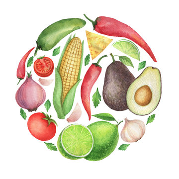 Watercolor traditional Mexican guacamole ingredients.