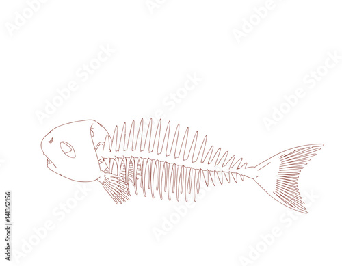 Download "Fish skeleton. Isolated on white background. Vector ...
