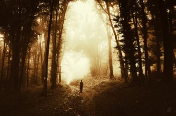 Zelfklevend Fotobehang Man in fantasy forest walking on road at sunset. Surreal autumn woods landscape © andreiuc88