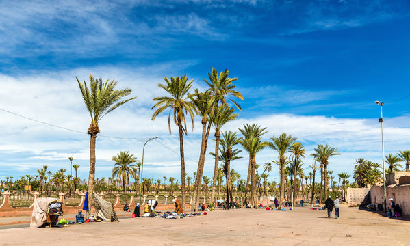 Palm trees near the city walls of Marrakesh, Morocco