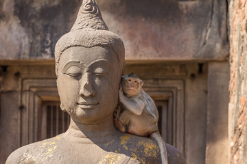 Buddha image with monkey in the ruined ancient. © goldquest
