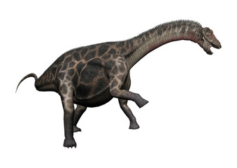 3D Rendering Dinosaur Dicraeosaurus on White
