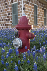 Fire Hydrant Bluebonnets