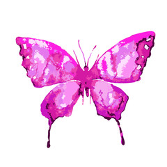 beautiful pink butterfly, isolated  on a white