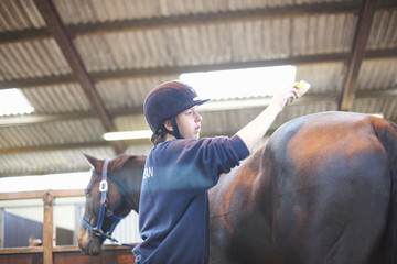 Young woman brushing horse with horse brush