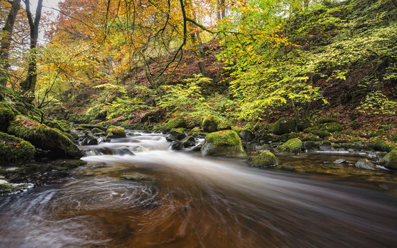 Moness Burn, Birks o' Aberfeldy, Perthshire, Scotland