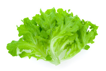 Salad leaf. Lettuce isolated on white background