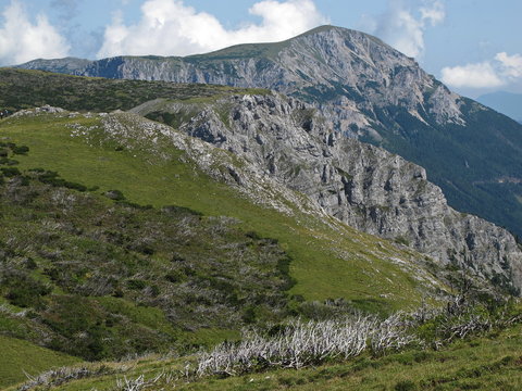 Blick auf die Heukuppe, den h&ouml;chsten Berg der Rax von der Schneealpe
