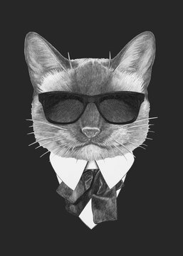 Portrait of Siamese Cat in suit. Hand drawn illustration.