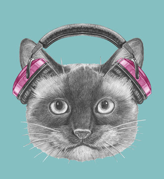 Portrait of Siamese Cat with headphones. Hand drawn illustration.