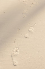 Fototapeta na wymiar Malediven, Strand, Fussabdruck, Sand, Sandstrand, Ferien, Badeferien, Wassersport, Indischer Ozean