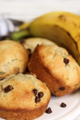 Homemade  banana Chocolate chip muffins, selective focus