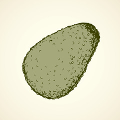 Avocado. Vector drawing