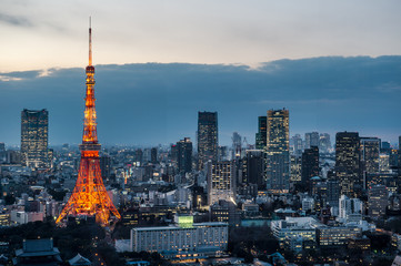 Fototapeta premium Tokyo city skyline with Tokyo Tower, Tokyo Japan