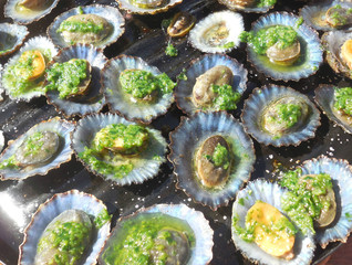 muscheln und schnecken