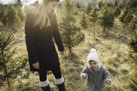 Mother and baby girl in Christmas tree farm, Cobourg, Ontario, Canada