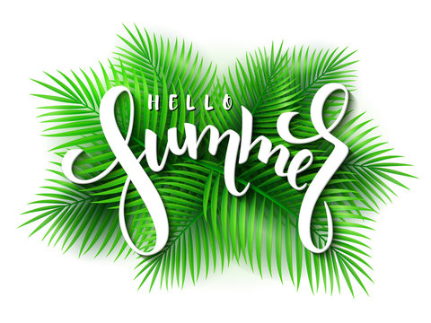 vector illustration of hand lettering - hello summer on a background of palm leaves