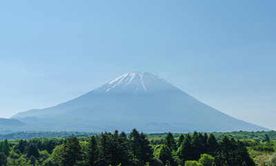 Fototapeta premium Mount fuji and green tree in the morning at yamanashi japan