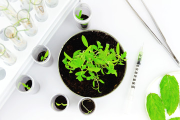 Testing gmo products